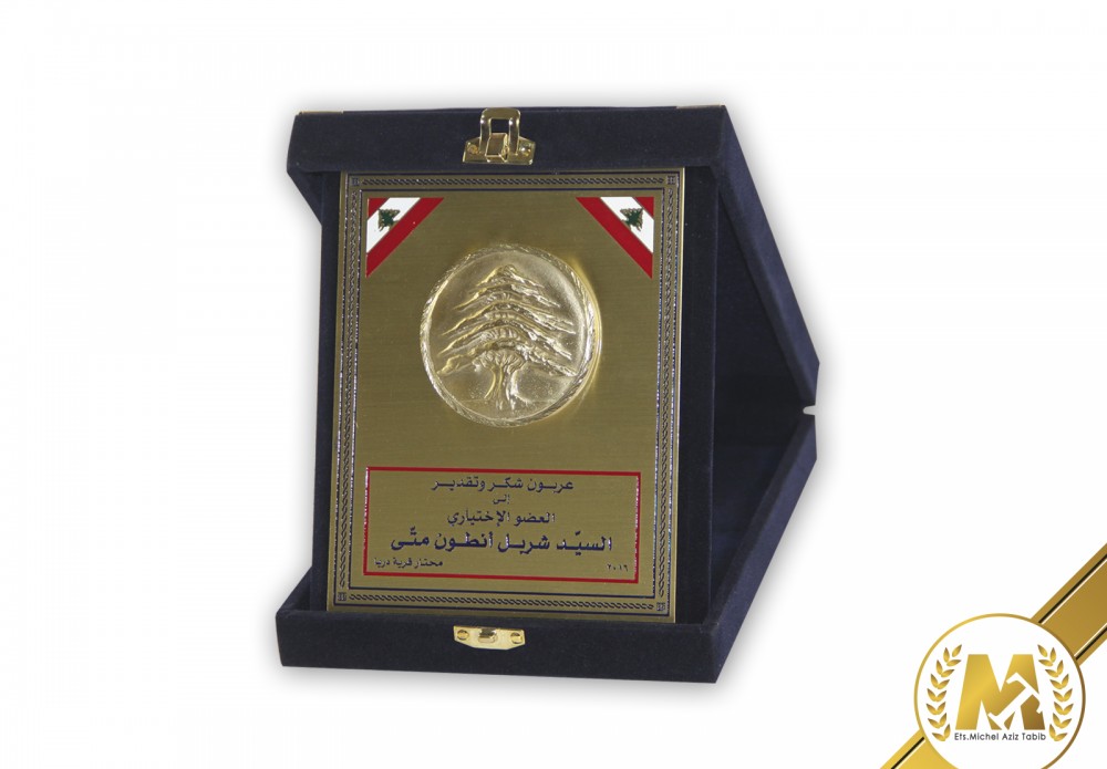 Darya Village Award
